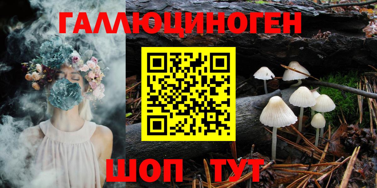 Галлюциногенные грибы MAGIC MUSHROOMS  Вход с VPN  Котлас 