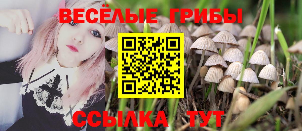 Псилоцибиновые грибы Magic Shrooms Котлас