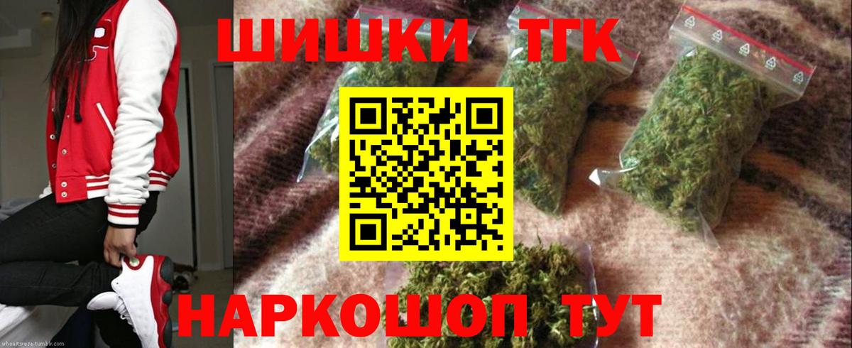 Бошки Шишки планчик Котлас